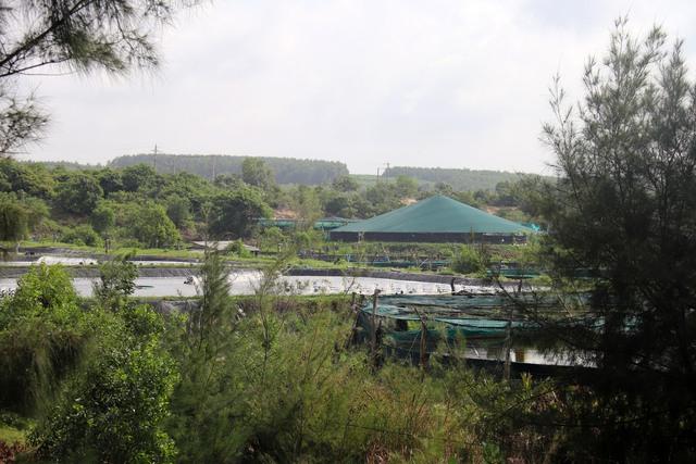 Tiến độ giải phóng mặt bằng KCN Sơn Mỹ và những vấn đề cần giải quyết - Ảnh 2.