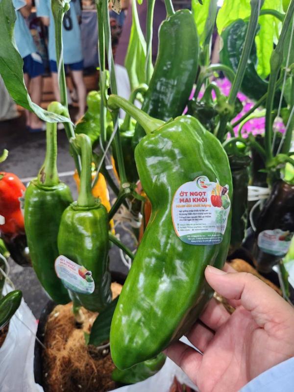 Cận cảnh trái cây độc lạ trong phiên chợ nông sản vùng miền - Bình Đông - Ảnh 7.