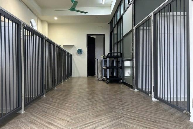 Làm đẹp thú cưng ở TP.HCM: Kiên nhẫn và cả trắc ẩn với khách hàng 4 chân- Ảnh 6.