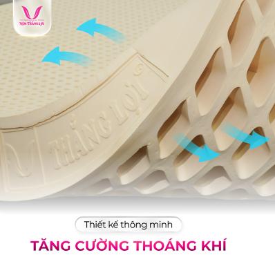  - Ảnh 3.