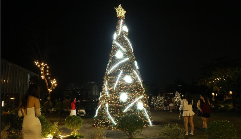 'Công viên Noel' với 200 cây thông, có cây cao hơn 7 m, hút khách  - Ảnh 11.