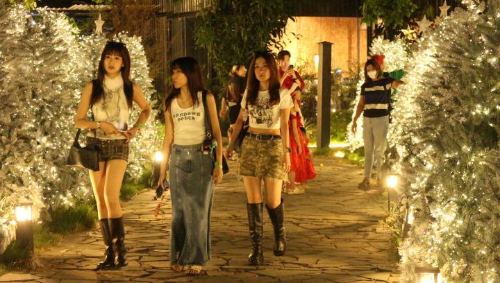 'Công viên Noel' với 200 cây thông, có cây cao hơn 7 m, hút khách  - Ảnh 13.