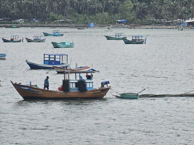 Thủ phủ tôm hùm hồi sinh - Ảnh 4.