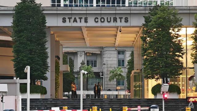 Một phụ nữ Việt lãnh án ở Singapore vì lấy hai chồng- Ảnh 1.