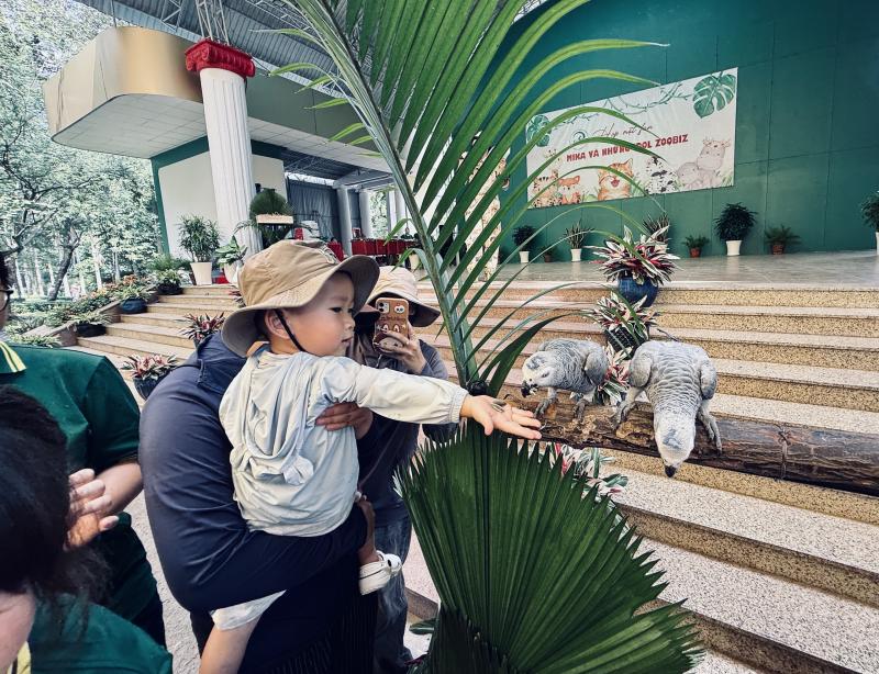 Từ mèo hoang thành 'chủ tịch': Mika khuấy đảo họp fan Thảo Cầm Viên Sài Gòn - Ảnh 7.