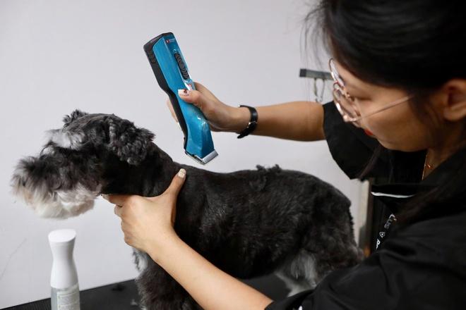 Làm đẹp thú cưng ở TP.HCM: Kiên nhẫn và cả trắc ẩn với khách hàng 4 chân- Ảnh 3.