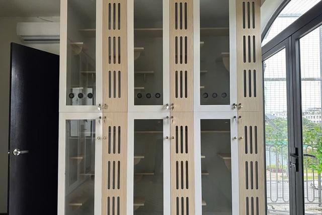 Làm đẹp thú cưng ở TP.HCM: Kiên nhẫn và cả trắc ẩn với khách hàng 4 chân- Ảnh 7.