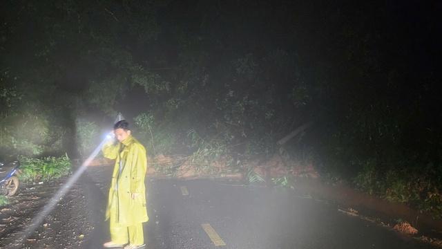 Đèo Gia Bắc QL28 nối Phan Thiết – Di Linh lại sạt lở nghiêm trọng - Ảnh 2.
