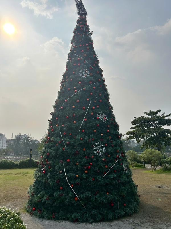 'Công viên Noel' với 200 cây thông, có cây cao hơn 7 m, hút khách  - Ảnh 5.