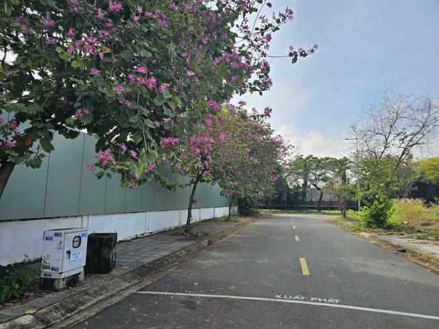TPHCM: Trường mầm non bất lực dùng tôn che chắn mùi hôi thối cho trẻ học - Ảnh 2.
