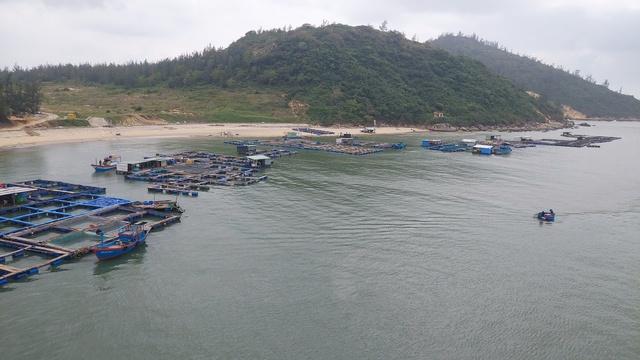 Người dân xin tiếp tục nuôi trồng thủy sản trái phép - Ảnh 2.