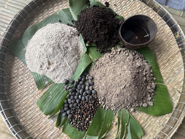 Cận cảnh máy bay không người lái thả hạt giống trồng rừng- Ảnh 4.