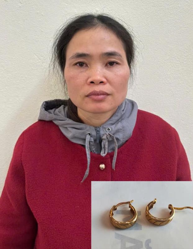 Khởi tố nữ bị can sát hại bác, cướp tài sản- Ảnh 1.