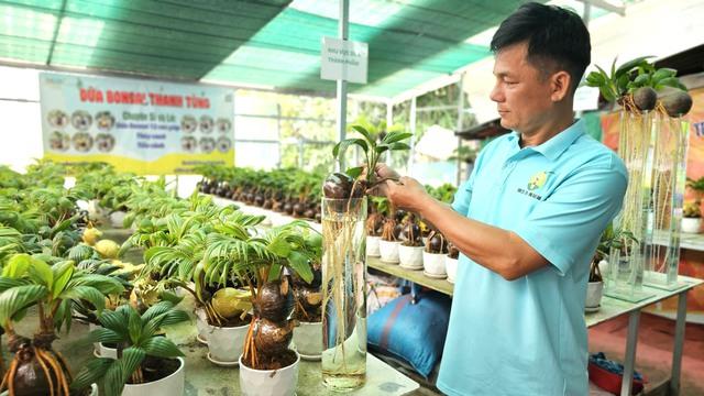 Biến trái dừa khô thành dừa bonsai Thanh Tùng độc lạ cho 12 con giáp - Ảnh 4.