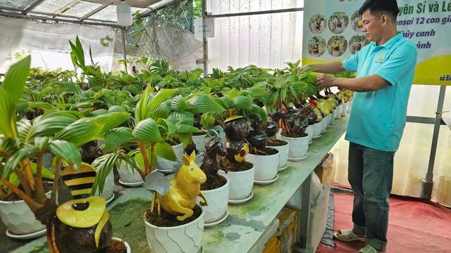 Biến trái dừa khô thành dừa bonsai Thanh Tùng độc lạ cho 12 con giáp - Ảnh 12.