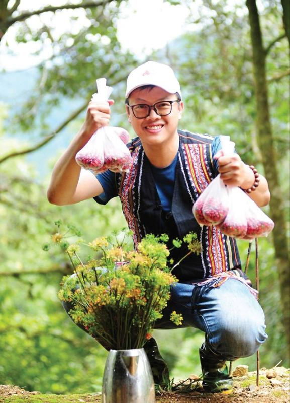 Sâm Ngọc Linh: Khi tinh hoa dược liệu Việt đồng hành cùng nhịp sống hiện đại- Ảnh 2.