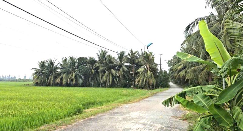 Chuyện về Ổ Cu Kiến Vàng: Cung đường lạ, đẹp như tranh ở vùng ven TP.HCM - Ảnh 3.