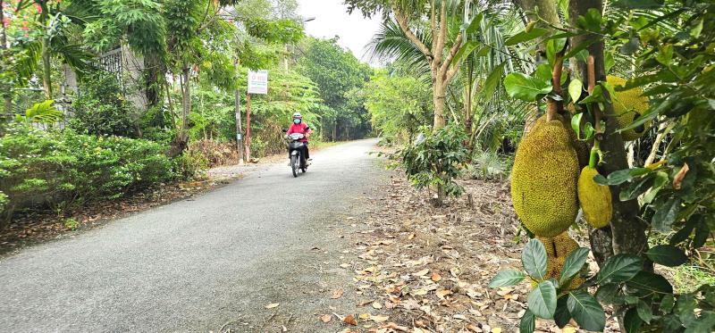 Chuyện về Ổ Cu Kiến Vàng: Cung đường lạ, đẹp như tranh ở vùng ven TP.HCM - Ảnh 7.