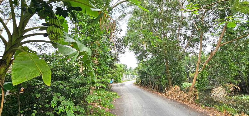 Chuyện về Ổ Cu Kiến Vàng: Cung đường lạ, đẹp như tranh ở vùng ven TP.HCM - Ảnh 8.