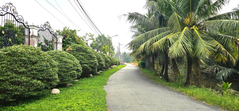 Chuyện về Ổ Cu Kiến Vàng: Cung đường lạ, đẹp như tranh ở vùng ven TP.HCM - Ảnh 5.