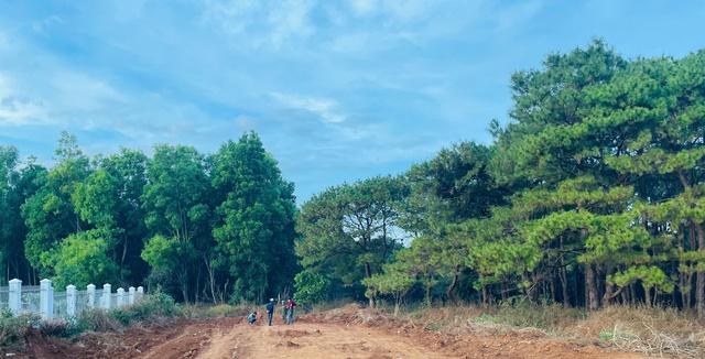Tìm thấy xe mô tô trong vụ cướp ngân hàng Gia Lai gây chấn động - Ảnh 2.