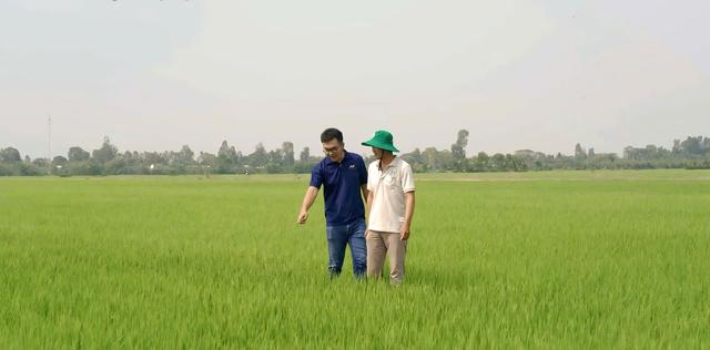 Phân bón NPK Việt Nhật, đâu phải chỉ riêng cho lúa- Ảnh 3.