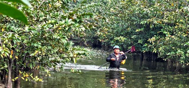 Gian nan nghề hái lộc trời tại Sài Gòn giữa dòng đời hiện đại - Ảnh 6.