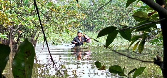 Gian nan nghề hái lộc trời tại Sài Gòn giữa dòng đời hiện đại - Ảnh 5.
