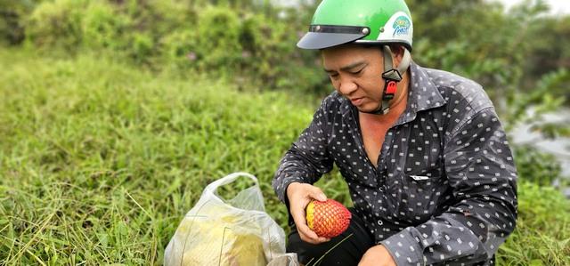 Gian nan nghề hái lộc trời tại Sài Gòn giữa dòng đời hiện đại - Ảnh 11.