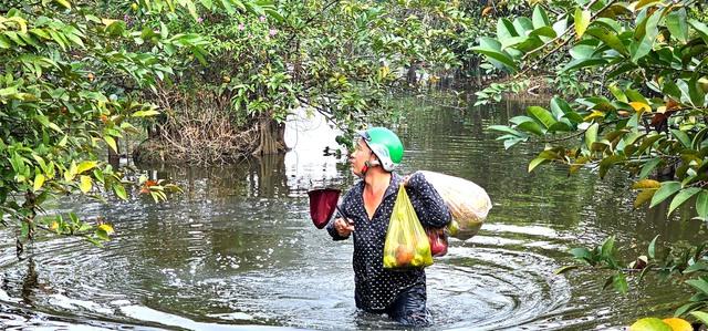 Gian nan nghề hái lộc trời tại Sài Gòn giữa dòng đời hiện đại - Ảnh 8.