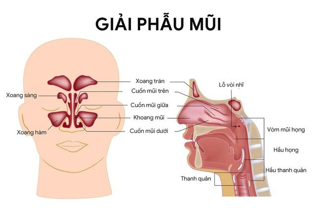 Đau hàm, nghẹt mũi, chảy máu răng - Đi khám phát hiện ung thư xoang- Ảnh 2. Đau hàm, nghẹt mũi, chảy máu răng - Đi khám phát hiện ung thư xoang- Ảnh 2.