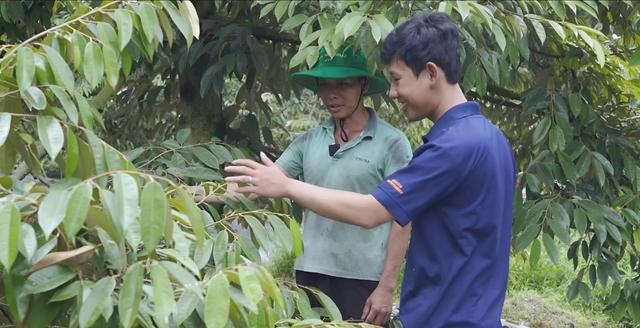 Phân bón NPK Việt Nhật, đâu phải chỉ riêng cho lúa- Ảnh 4.