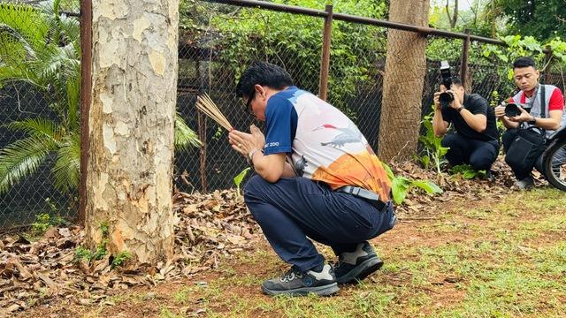 Nỗ lực bảo tồn sếu đầu đỏ và hành trình đưa chúng về quê hương việt nam - Ảnh 3.