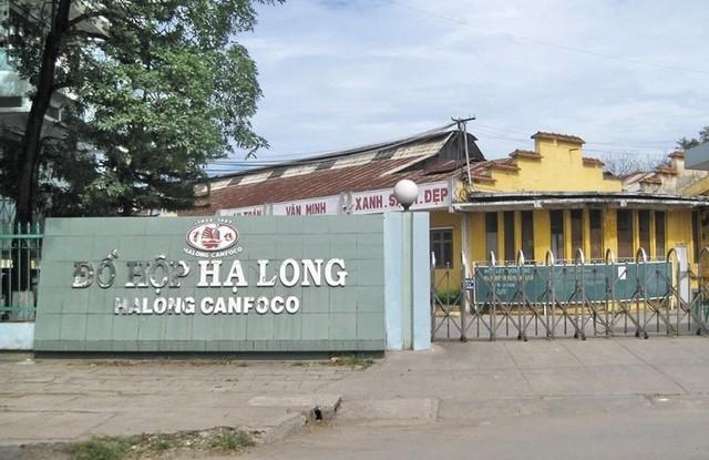 Cổ phiếu của Công ty Đồ hộp Hạ Long diễn biến ra sao? - Ảnh 1.