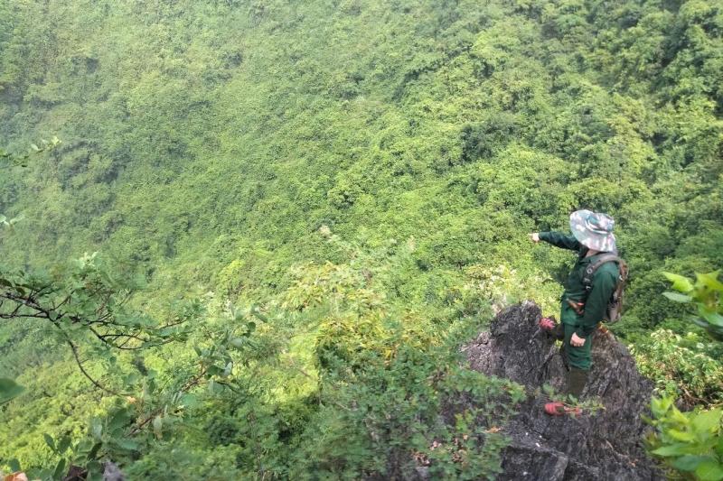 Bẫy ảnh phát hiện thêm voọc mông trắng cực kỳ nguy cấp: Làm gì để bảo vệ? - Ảnh 7.