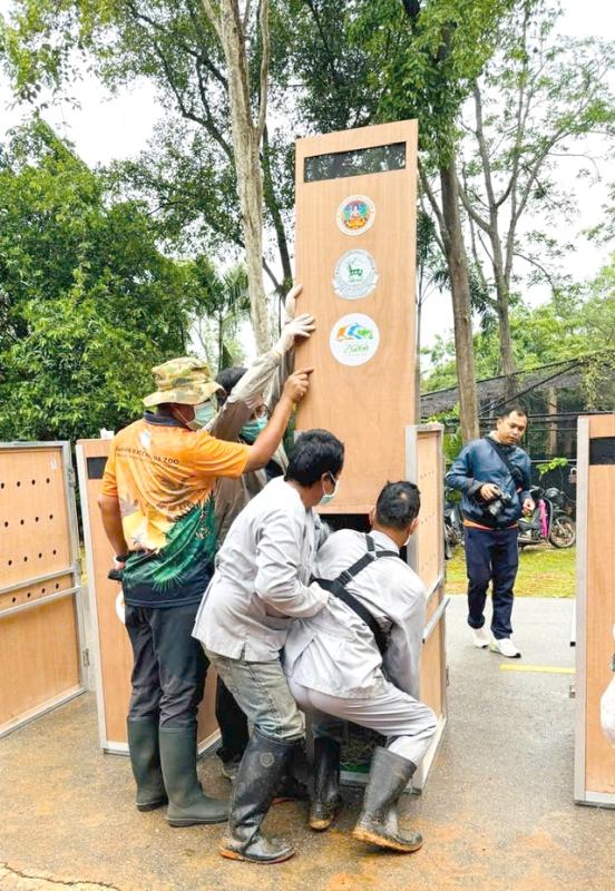 Nỗ lực bảo tồn sếu đầu đỏ và hành trình đưa chúng về quê hương việt nam - Ảnh 4.