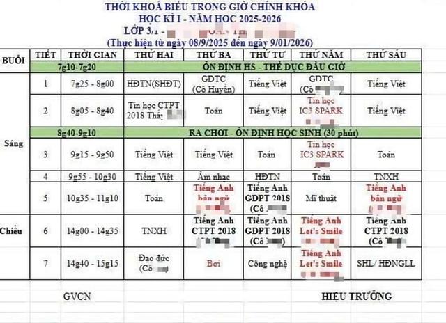 Nỗi lo giáo viên liên kết không có chứng chỉ nghiệp vụ sư phạm - Ảnh 2.