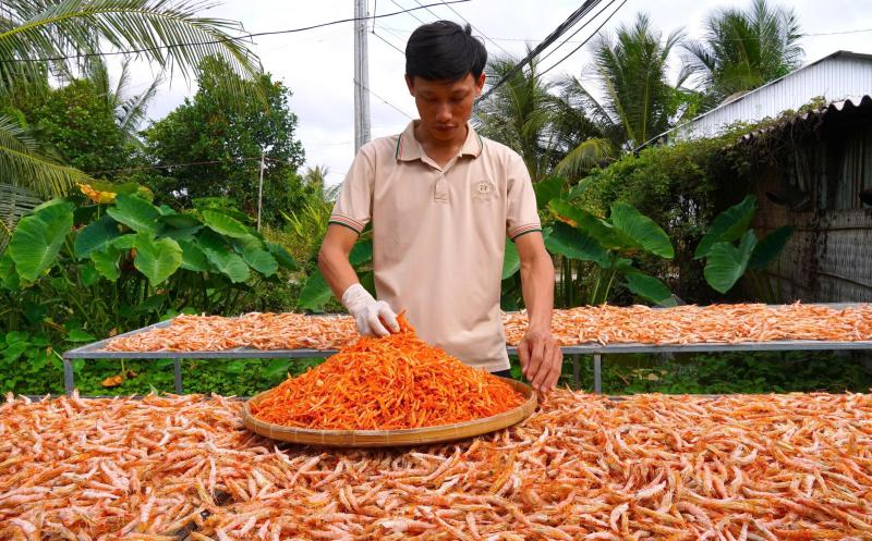 Dáng tôm khác biệt tạo nên tôm khô móng chim giá 1,5 triệu đồng/kg- Ảnh 9.