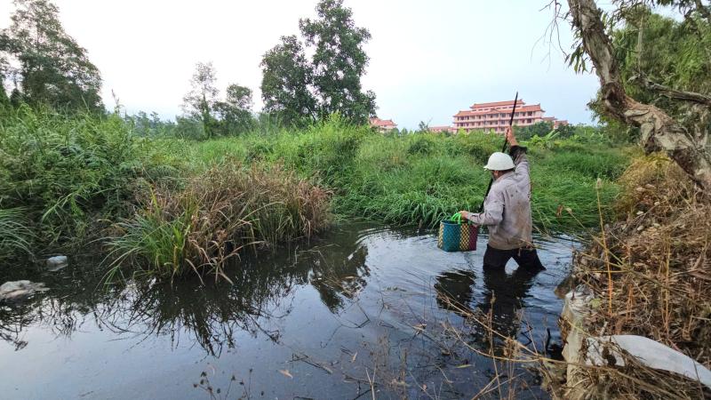 Mưu sinh bằng rau choại:Những phận đời tự lực cánh sinh bên lề đường Trần Văn Giàu - Ảnh 3.