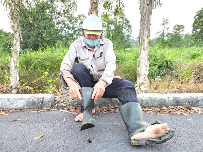 Mưu sinh bằng rau choại:Những phận đời tự lực cánh sinh bên lề đường Trần Văn Giàu - Ảnh 2.