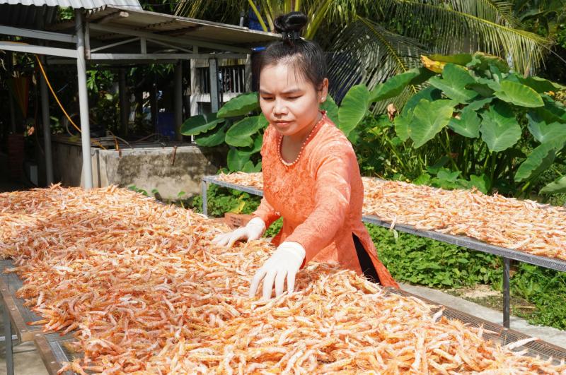 Dáng tôm khác biệt tạo nên tôm khô móng chim giá 1,5 triệu đồng/kg- Ảnh 7.