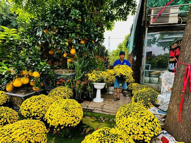 Nhà vườn hoa kiểng phập phồng vì thời tiết- Ảnh 2.