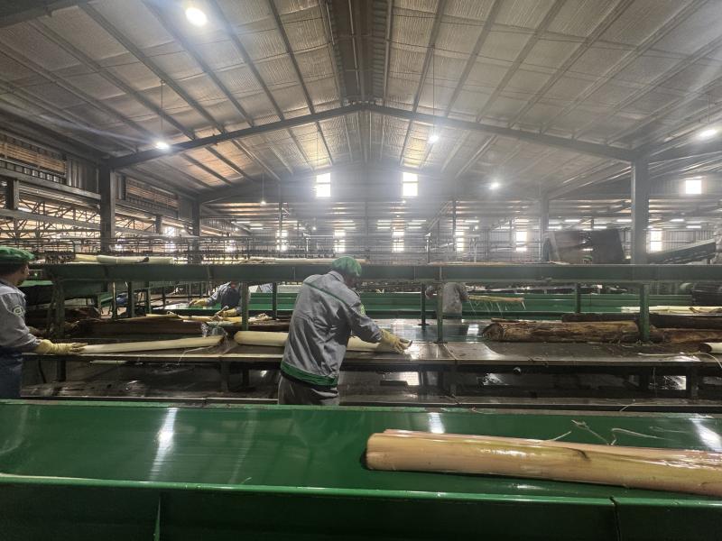 Tỉ phú Trần Bá Dương biến chuối phế thải thành sợi vải như thế nào? - Ảnh 3.