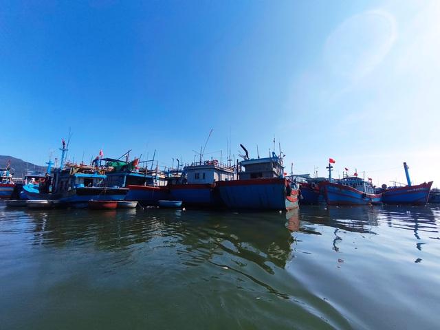 Cận Tết, ngư dân Đà Nẵng vẫn chần chừ ra khơi vì… máy VX- Ảnh 4.