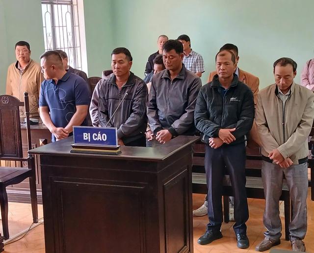 Nhận hối lộ, 3 nhân viên bảo vệ rừng bị phạt tù- Ảnh 1.