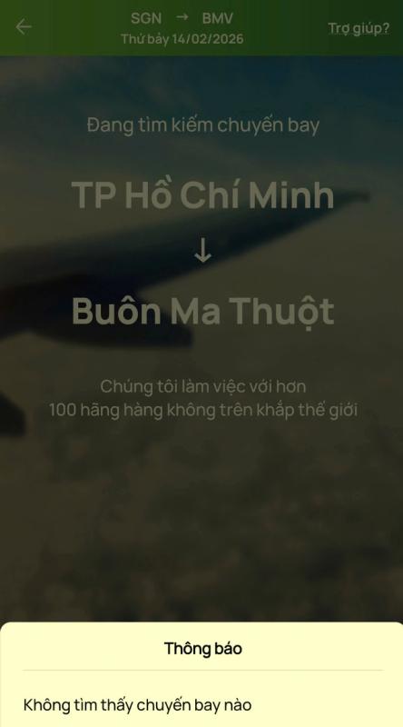Cảm thấy choáng khi mua vé máy bay về quê đón tết trong thời điểm này - Ảnh 1.
