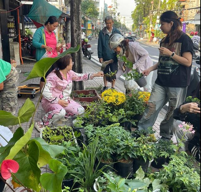 Đi chợ cây độc lạ: Đủ loại cây giá chỉ vài ngàn đồng- Ảnh 8.