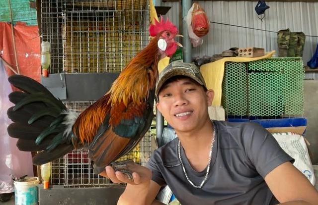 Thuần hóa gà rừng tai trắng, chàng trai tạo thu nhập ổn định ở quê - Ảnh 1.
