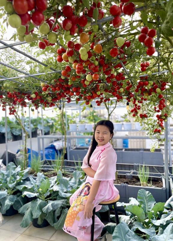 Sốc với giá hạt giống cà chua bạch tuộc, thành quả đáng đồng tiền  - Ảnh 9.