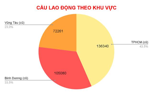 Thị trường việc làm ở TP.HCM sau khi sáp nhập tỉnh thành năm qua ra sao? - Ảnh 2.